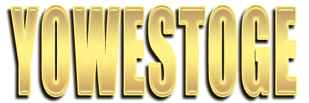 Logo YOWESTOGE